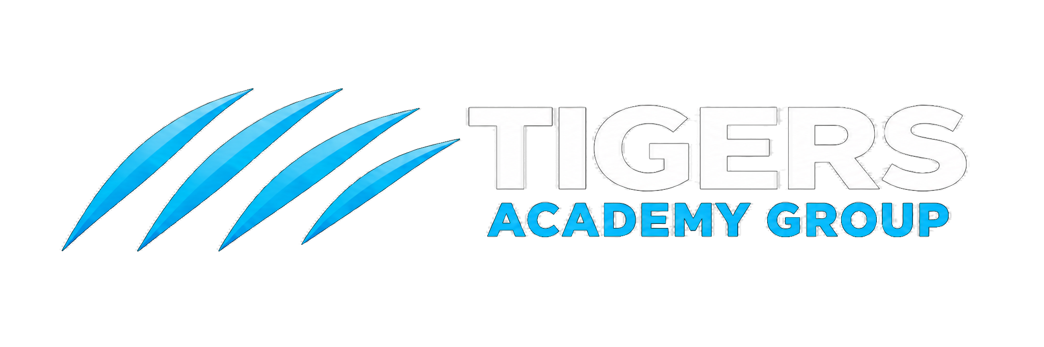 TIGERS ACADEMY GROUP